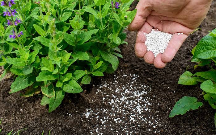 Best Fertilizers from agricultural products dealer in Madhya Pradesh - KRISHI BHAWAN Bhopal